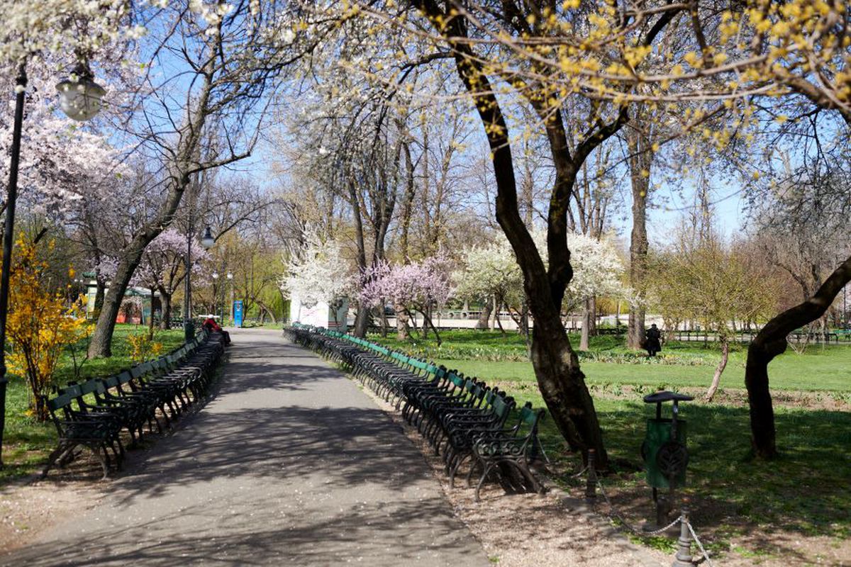 14.000 de case de pariuri se închid, plus alte 15.000 de agenții cu „păcănele"! Anunțul făcut în această seară