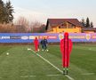 „Tricolorii” au primit mingea oficială de la EURO 2024. Imagini de la primul antrenament