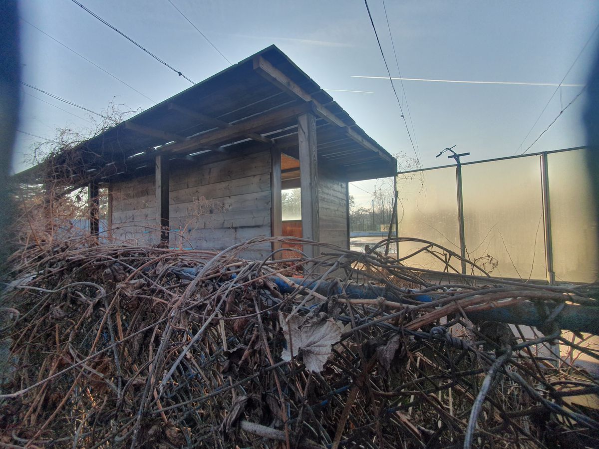 Patinoar Olimpia Ploiești - abandonat