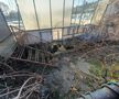 Patinoar Olimpia Ploiești - abandonat