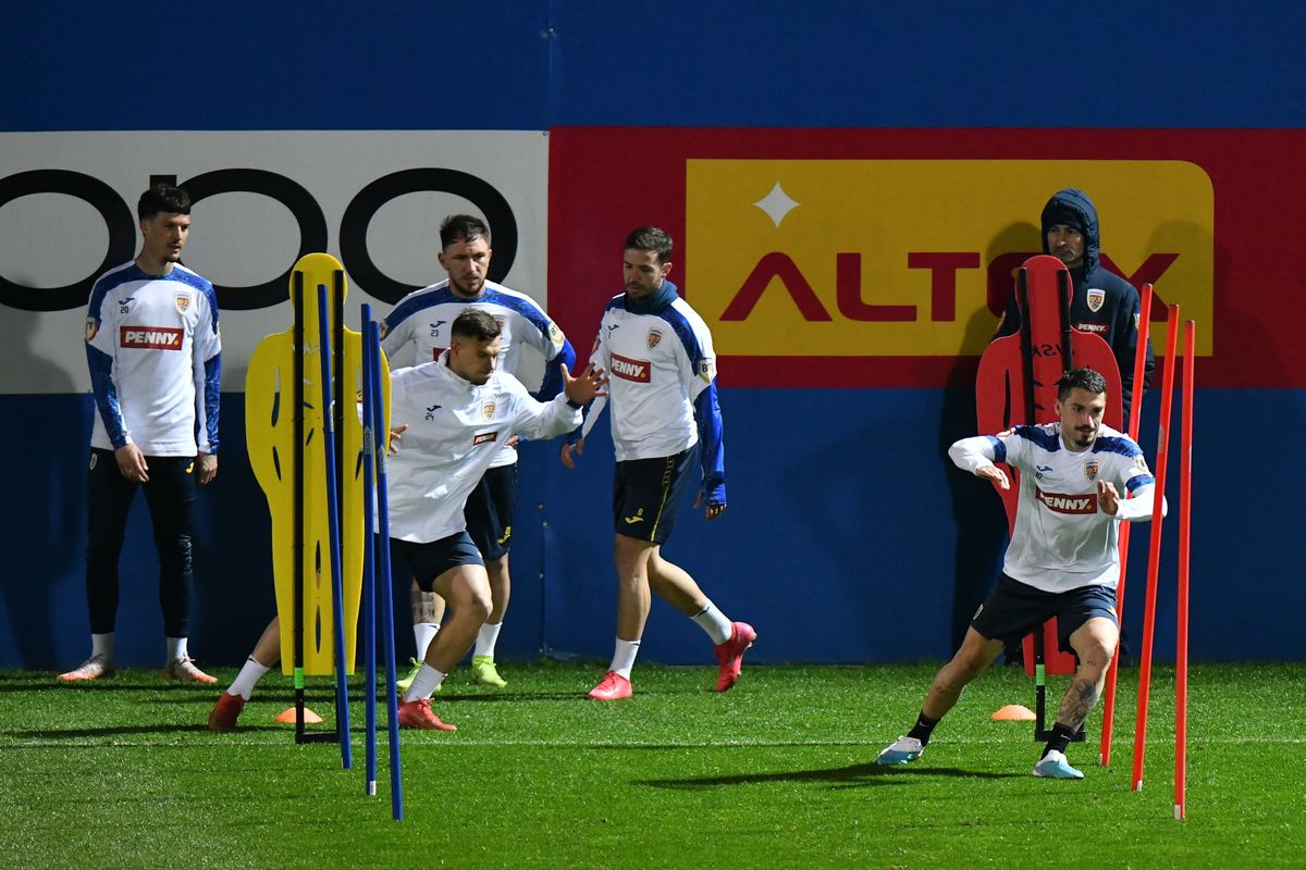 Sute de fani au venit la antrenamentul României