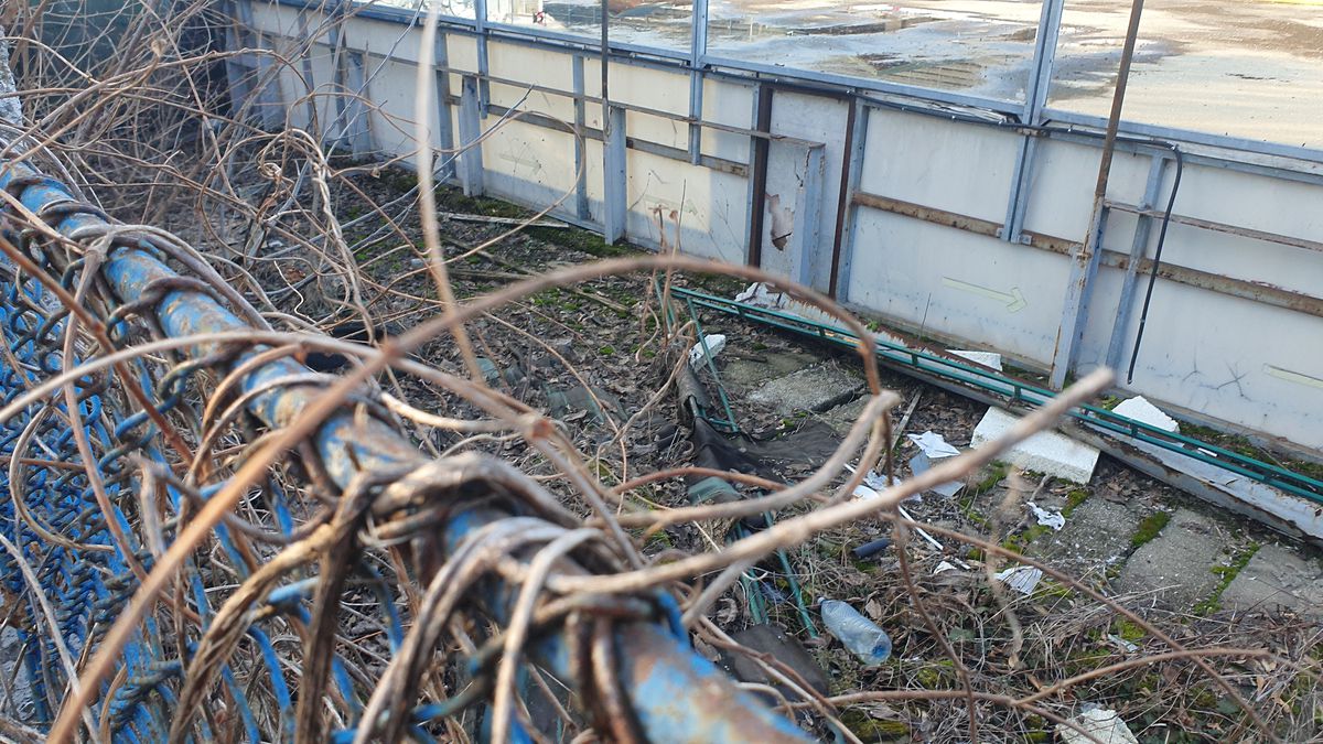 Patinoar Olimpia Ploiești - abandonat