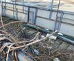Patinoar Olimpia Ploiești - abandonat