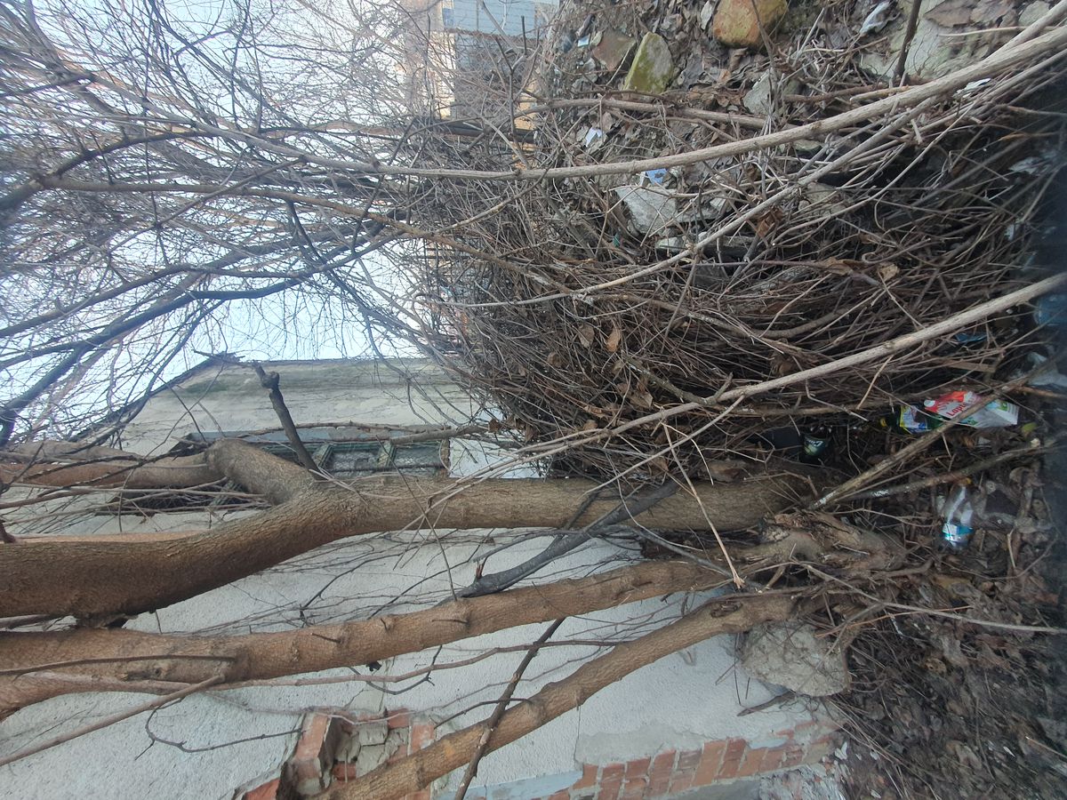 Bazin Vega Ploiești ruină