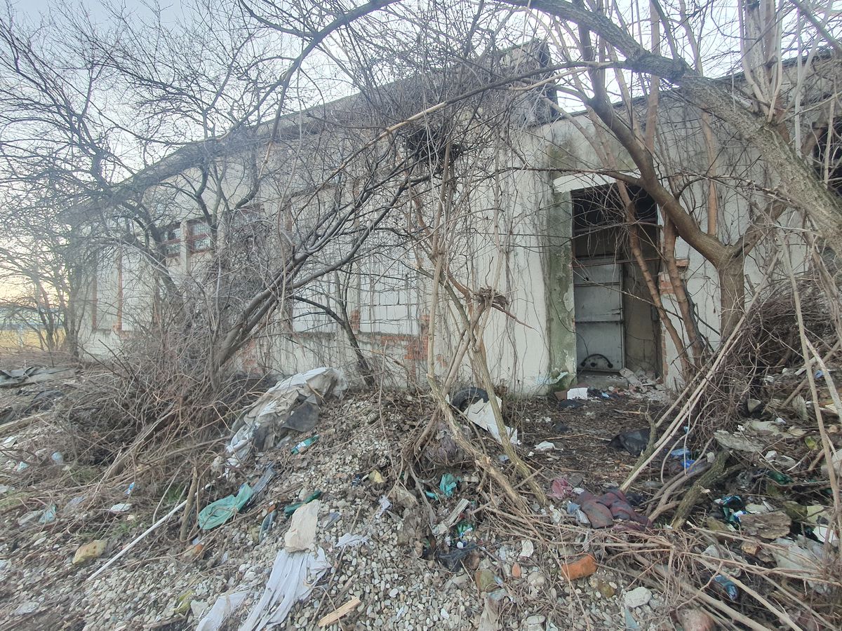 Bazin Vega Ploiești ruină