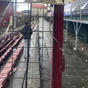 Foto: Peluza Vișinie