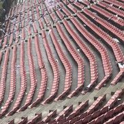 Foto: Peluza Vișinie