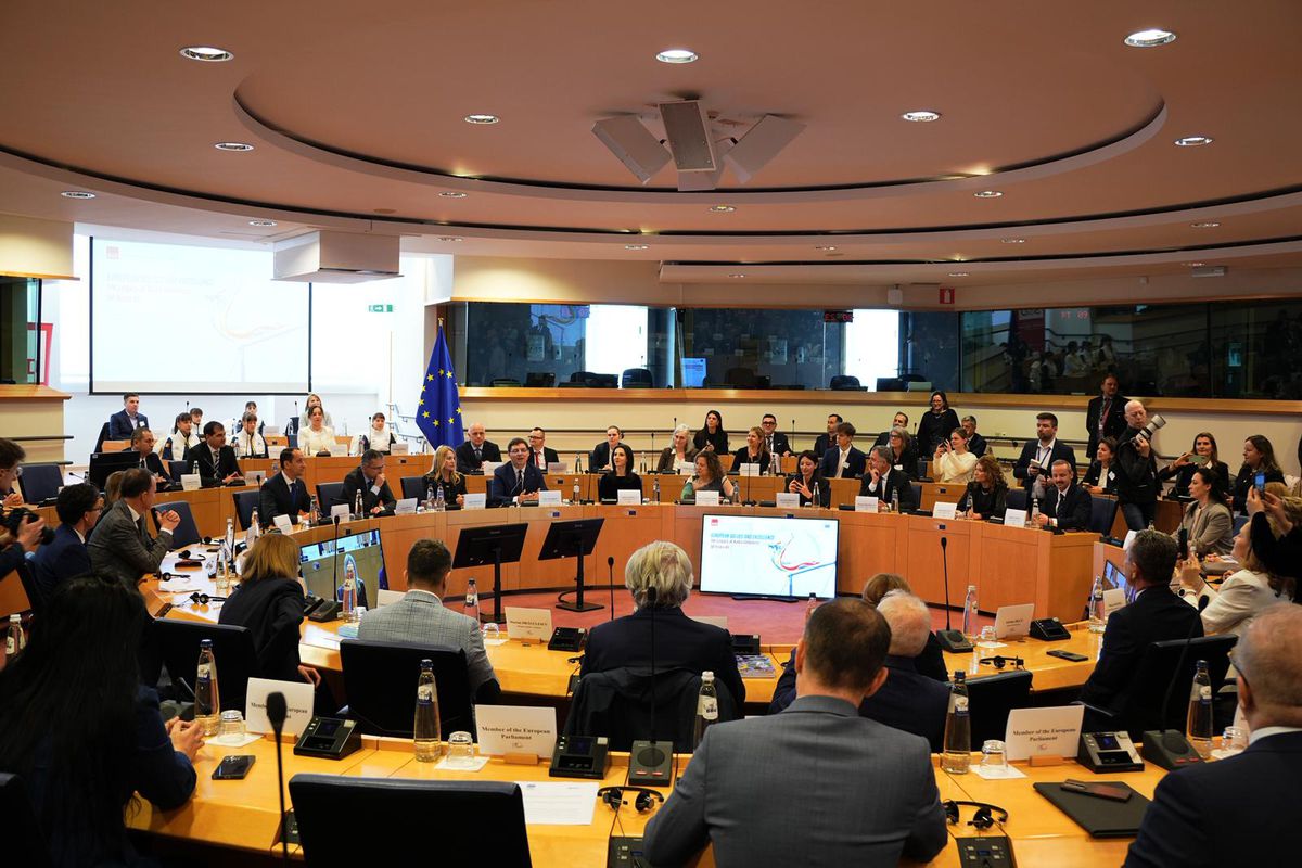 Nadia Comăneci, discurs în Parlamentul European