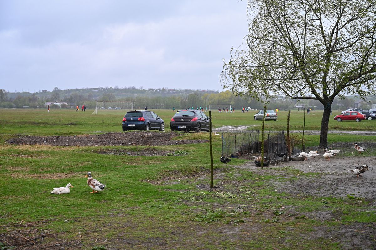 Pasiune pentru fotbal în „județeana” de Giurgiu » Omerta Stoenești - Săbărelul Ciocoveni s-a jucat pe un vânt crâncen, printre rațe și oi