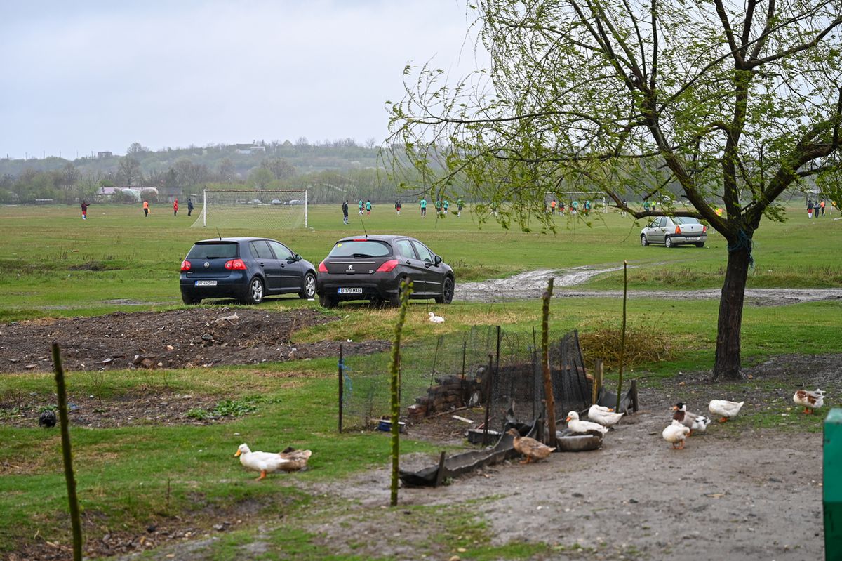 Omerta Stoenești - Săbărelul Ciocoveni