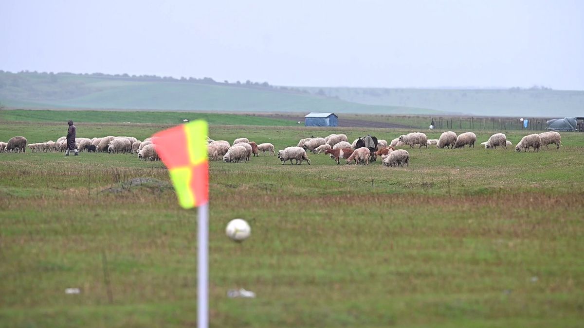 Pasiune pentru fotbal în „județeana” de Giurgiu » Omerta Stoenești - Săbărelul Ciocoveni s-a jucat pe un vânt crâncen, printre rațe și oi