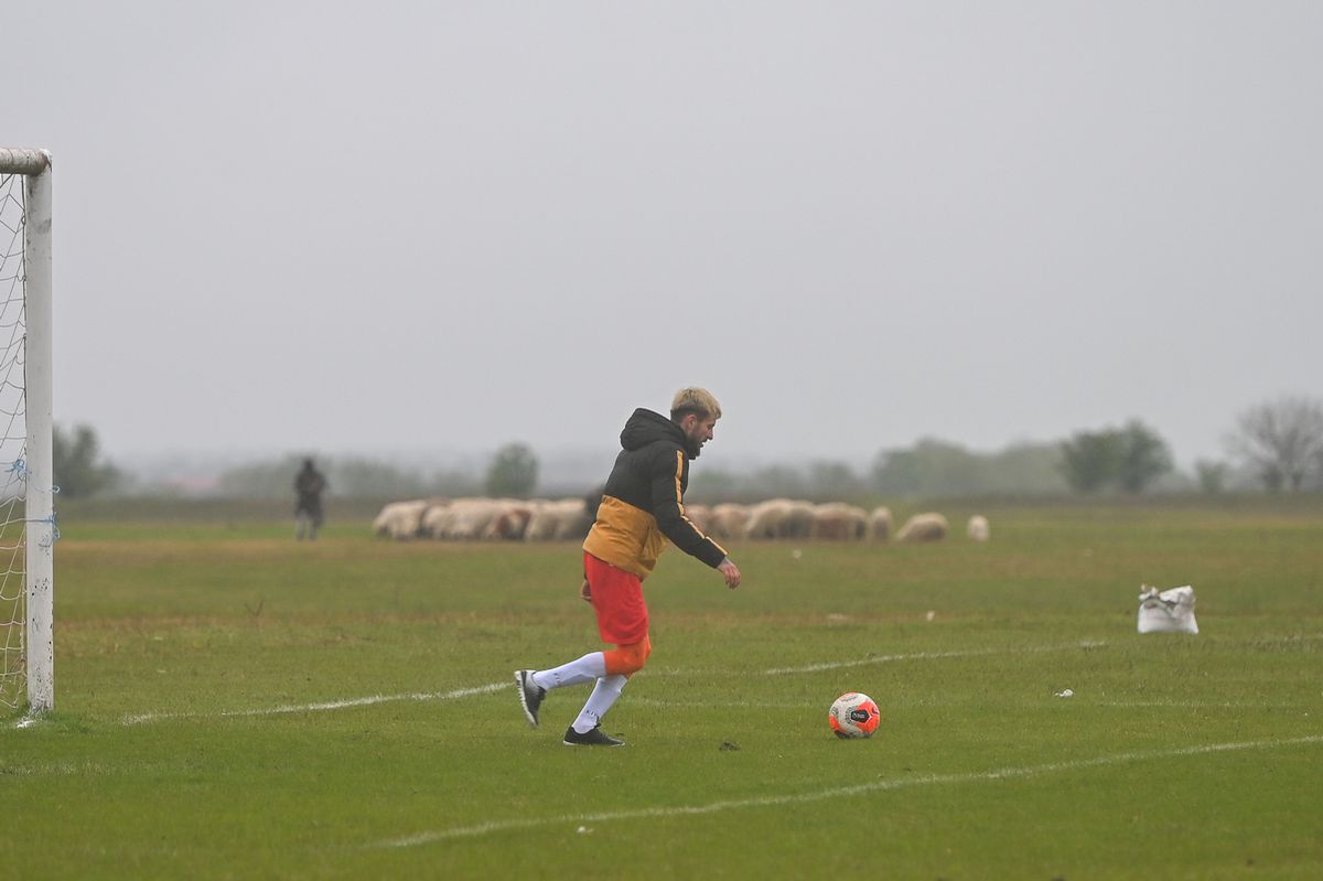 Omerta Stoenești - Săbărelul Ciocoveni