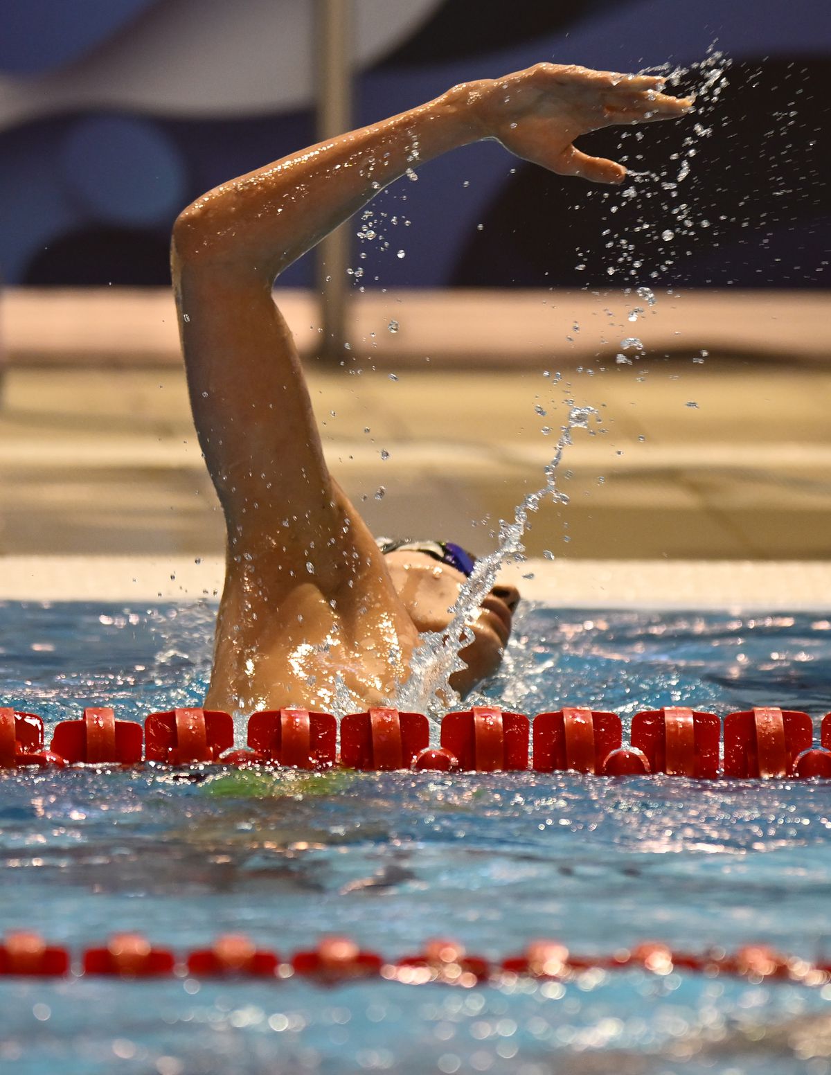 David Popovici, aur în prima probă a Campionatelor Naționale de la Otopeni » Victorie în finala la 50 m liber, cu 100 de zile înainte de JO