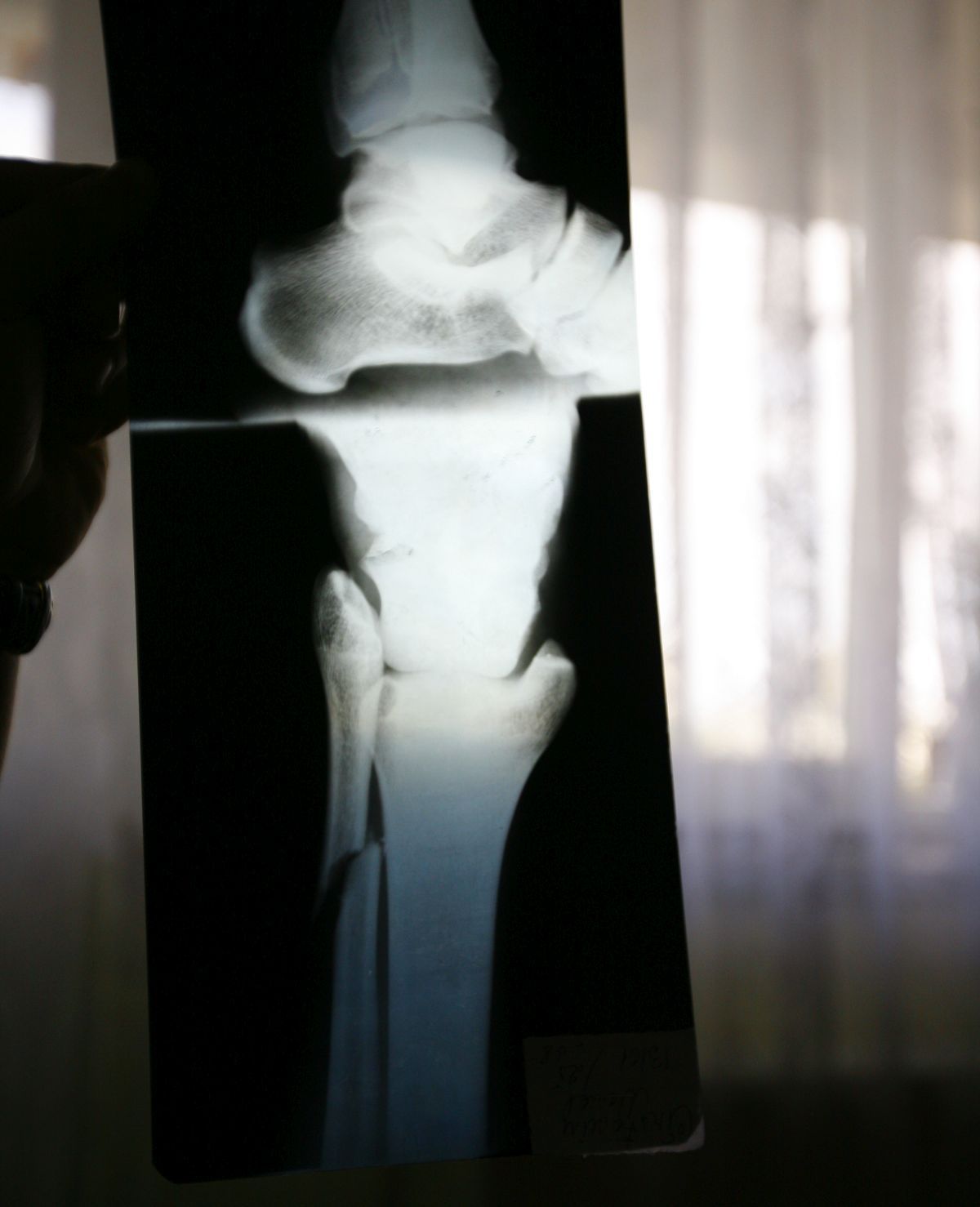 Destin frânt » Alex Pițurcă l-a accidentat grav, apoi a dispărut definitiv din Liga 1! GSP a reconstituit cazul, după 17 ani: trebuia să fie la națională, a urmat anonimatul!