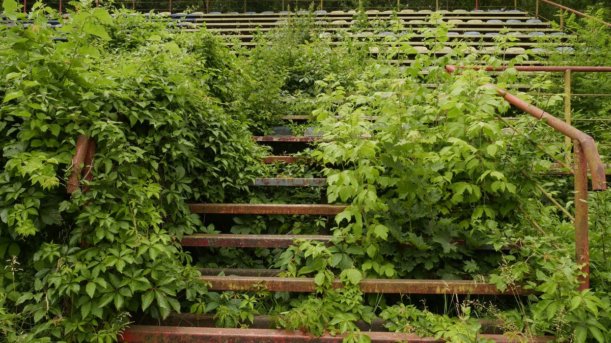 Baze sportive Bucuresti distruse