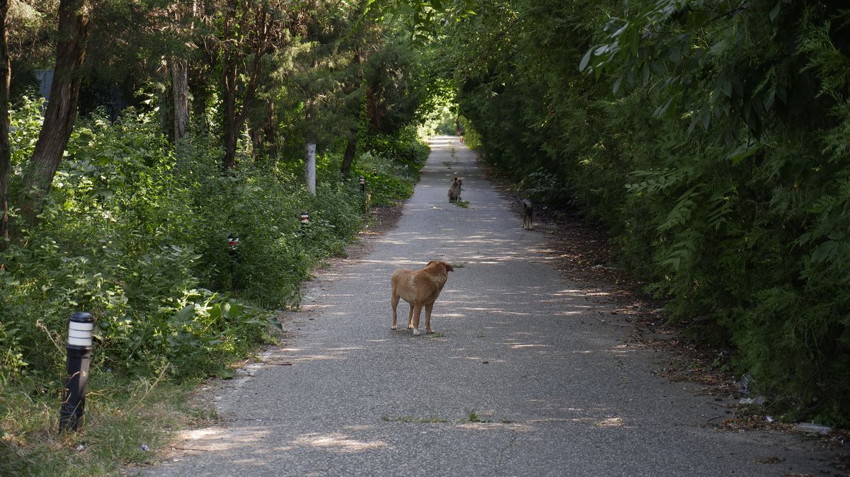 Baze sportive Bucuresti distruse