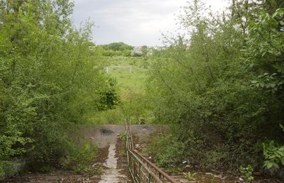 Dezastrul bazelor sportive din București: „Din 107, doar acestea sunt funcționale! Restul, abandonate sau înghițite de imobiliare” + Harta care arată dimensiunea haosului