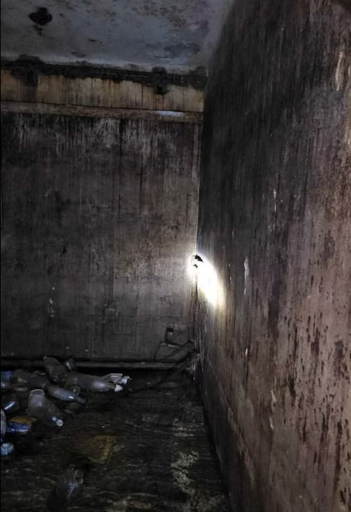 „Au vrut să împartă sala în două” » Imagini halucinante cu polivalenta istorică din România