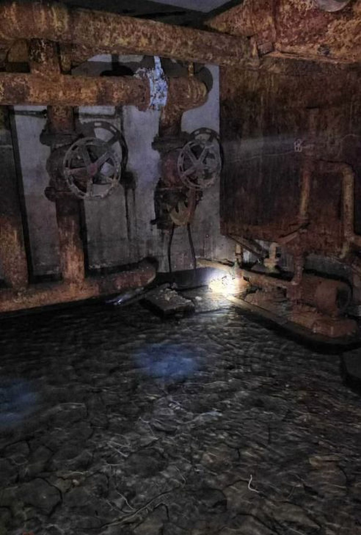 Probleme la Sala Sporturilor din Constanța