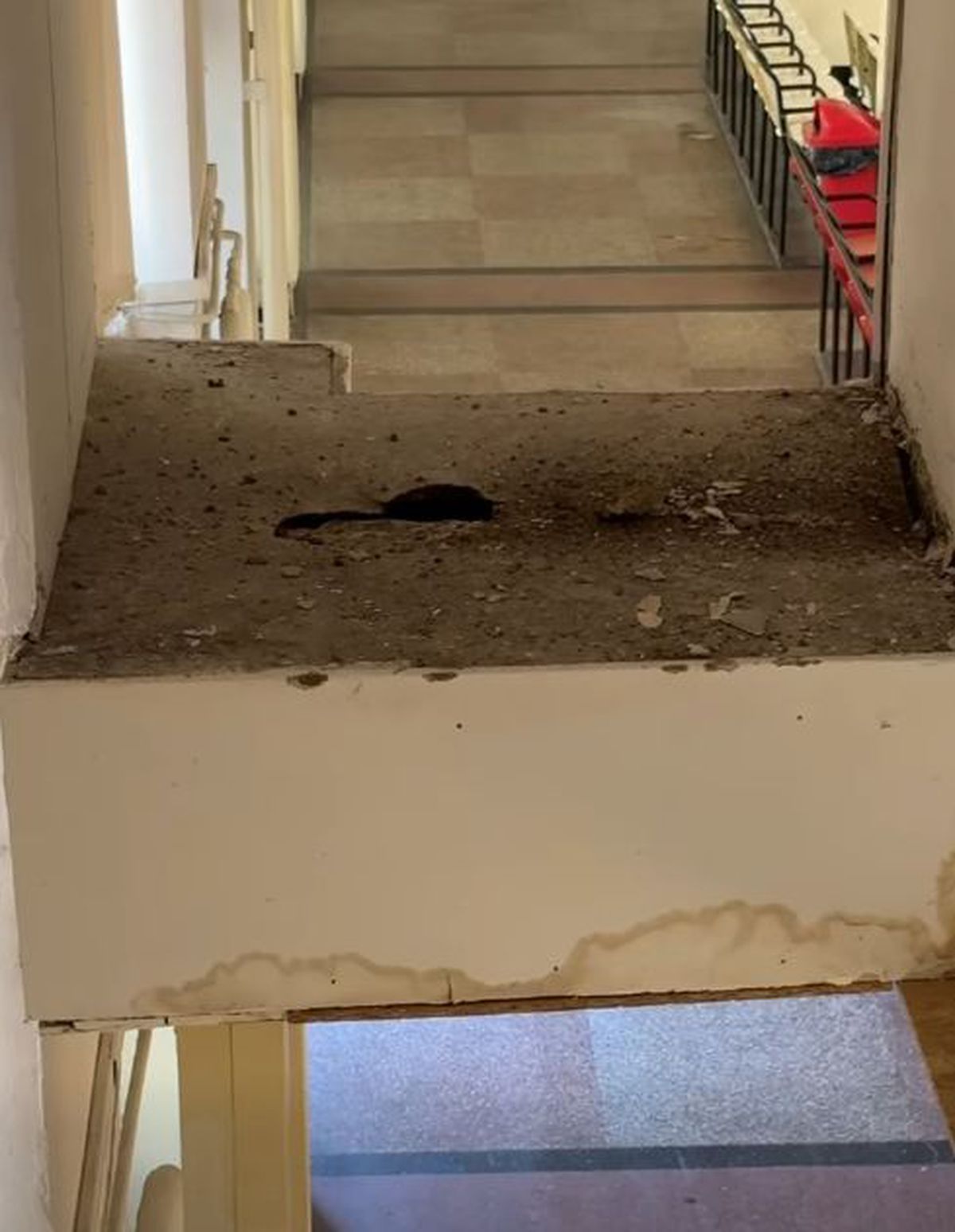 Reacție imediată după imaginile șocante publicate azi de GSP! Decizia anunțată în această seară