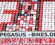 BUNDESLIGA. Până la urmă, tribunele n-au fost goale în Koln - Mainz :) » Soluție inedită a nemților