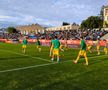 FC Botoșani - CS Mioveni, baraj promovare / menținere. foto: Ionuț Tăbultoc