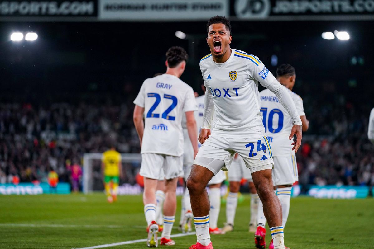 Leeds - Southampton e finala play-off-ului pentru Premier League