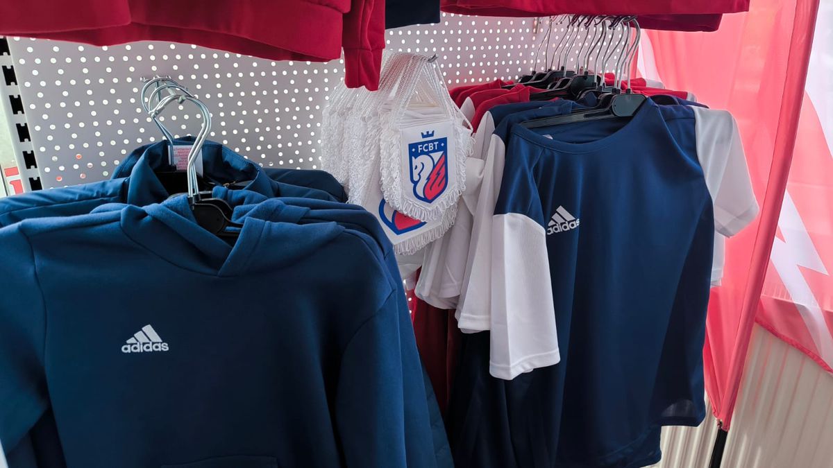 FC Botoșani - CS Mioveni, baraj promovare / menținere