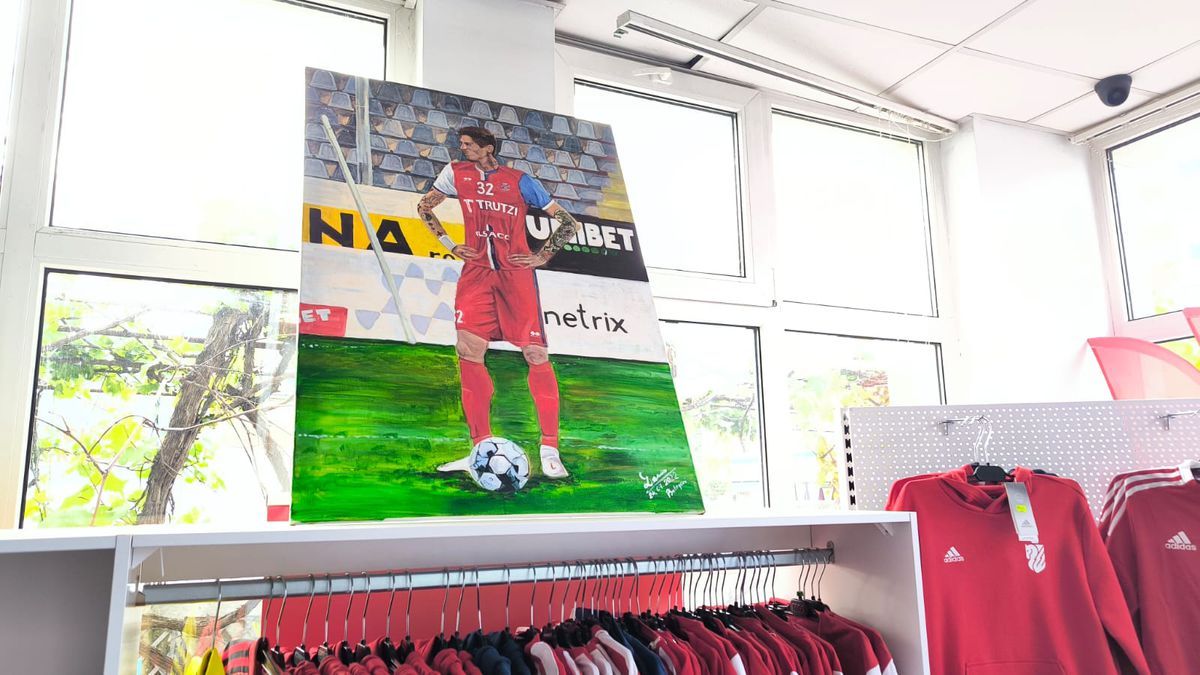 FC Botoșani - CS Mioveni, baraj promovare / menținere