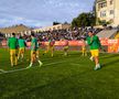 FC Botoșani - CS Mioveni, baraj promovare / menținere. foto: Ionuț Tăbultoc