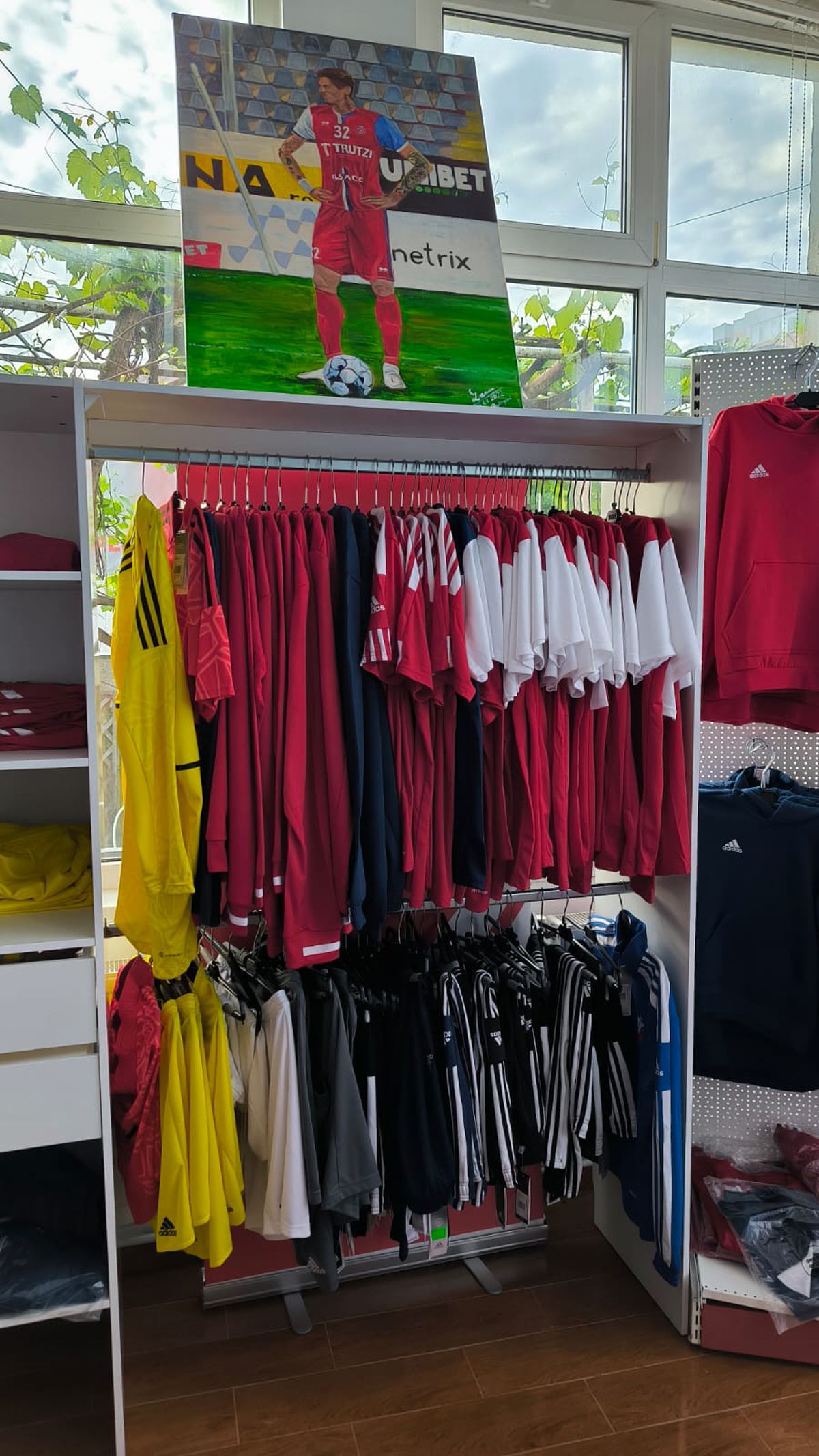 FC Botoșani - CS Mioveni, baraj promovare / menținere