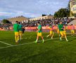FC Botoșani - CS Mioveni, baraj promovare / menținere. foto: Ionuț Tăbultoc