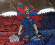 Scenografia Peluzei Nord, la FCSB - Craiova, imagini de meci/ foto: Eduard Vînătoru (GSP)