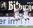 Elversberg a promovat în Bundesliga