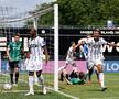Elversberg a promovat în Bundesliga