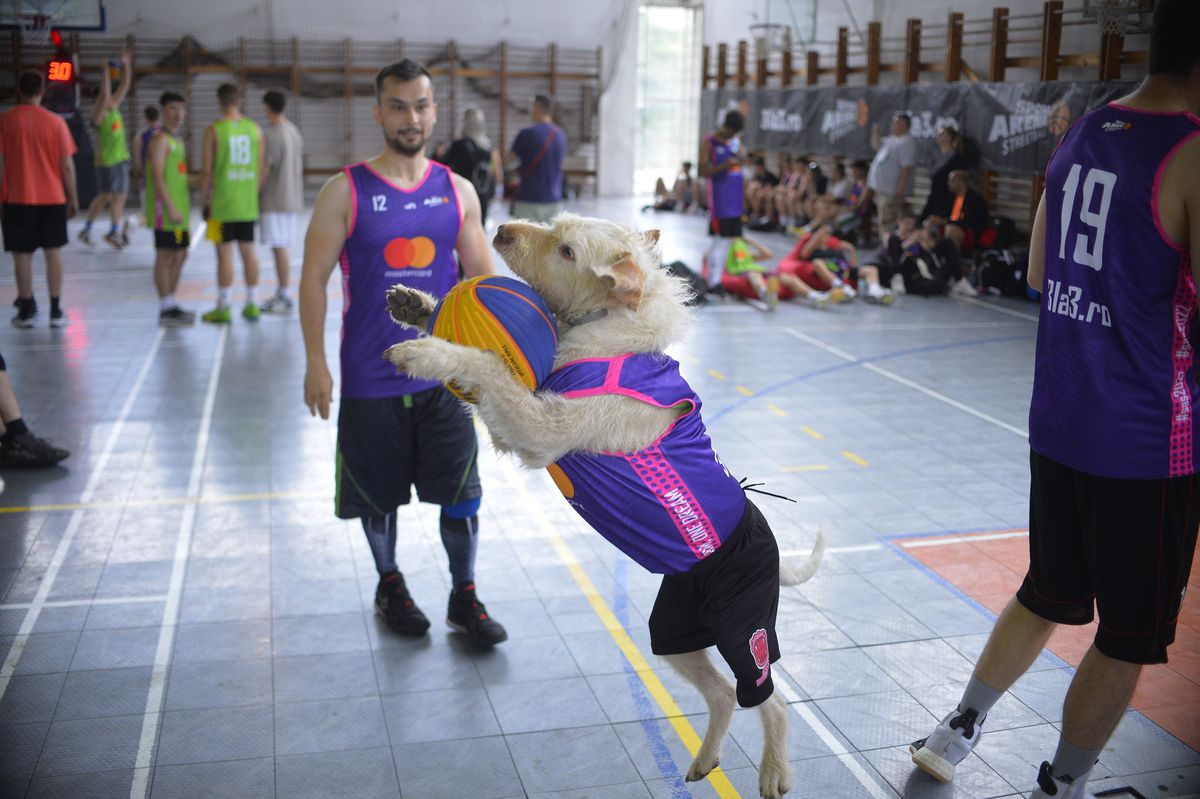 Finale spectaculoase de baschet 3x3 la Sport Arena Streetball, după un turneu furtunos