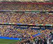 Imagini surprinse pe stadion, la România - Ucraina FOTO: Andrei Crăițoiu (GSP)