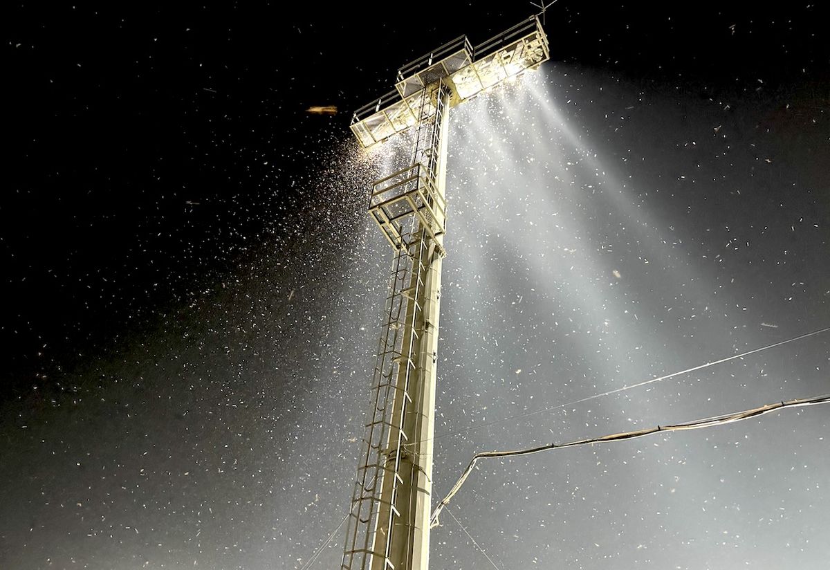 Invazie la Voluntari, la EURO U19 » Jucătorii Spaniei povestesc șocați: „Nu am văzut niciodată așa ceva! Mi-au intrat în ochi și gură”