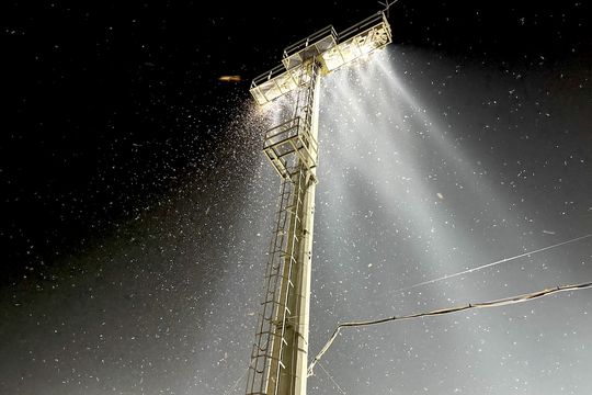 Invazie de insecte la meciul România U19 – Spania U19, de la Voluntari