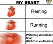 Carlos Alcaraz - Novak Djokovic, un meci interzis cardiacilor