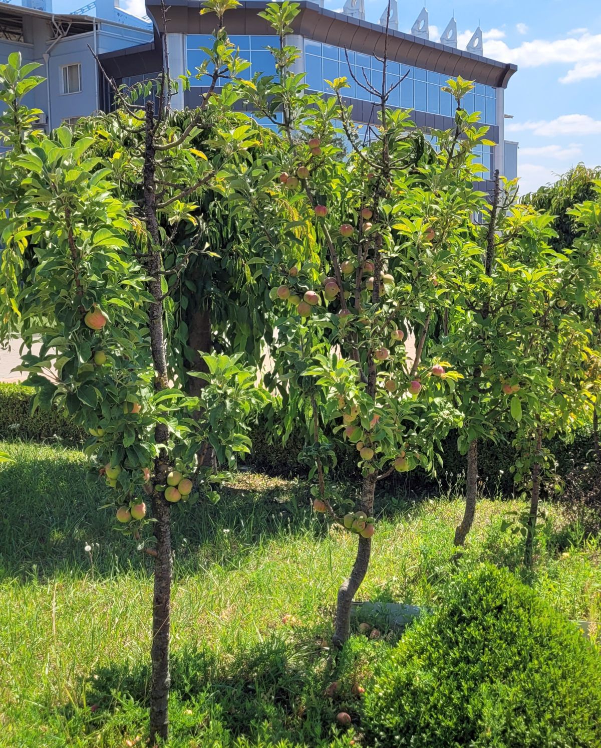 Mica Uniune Sovietică » Reporterii GSP au petrecut o zi în Tiraspol și au tras 10 concluzii: diferență de prețuri față de România, transport arhaic și baie în Nistru