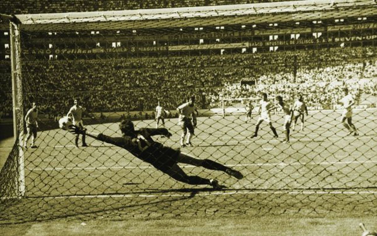 13 momente din viața „Baronului”  Stere Adamache: cum a refuzat Steaua și Dinamo, acte falsificate de FRF și premoniția avută înainte de a muri înecat