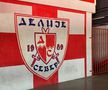 Jucătorii lui Șumudică, avertizați » Momentul psihologic al meciului de la Belgrad: „Polițiștii sunt acolo să intervină!”