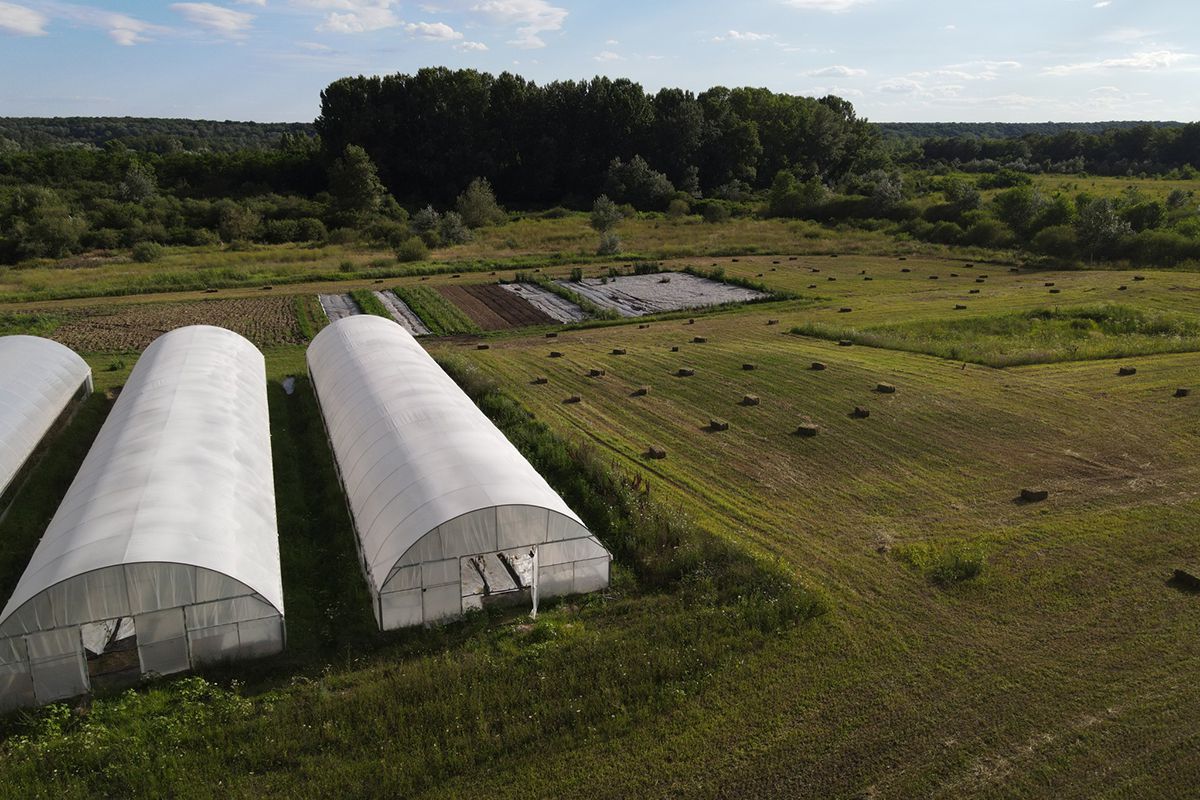 Cum va arăta mâncarea viitorului: „Abia aștept să folosim inteligența artificială în agricultură!” + Diferența dintre legumele obișnuite și cele bio