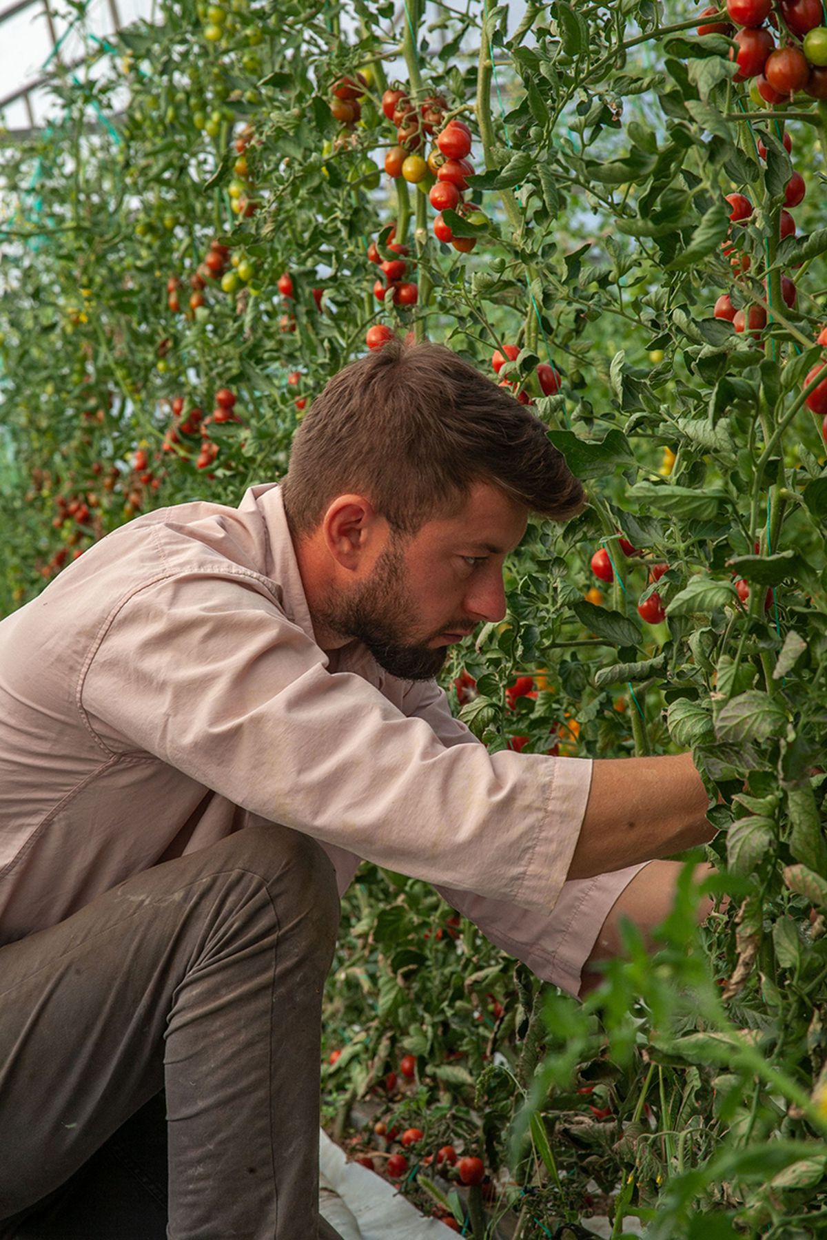 Cum va arăta mâncarea viitorului: „Abia aștept să folosim inteligența artificială în agricultură!” + Diferența dintre legumele obișnuite și cele bio