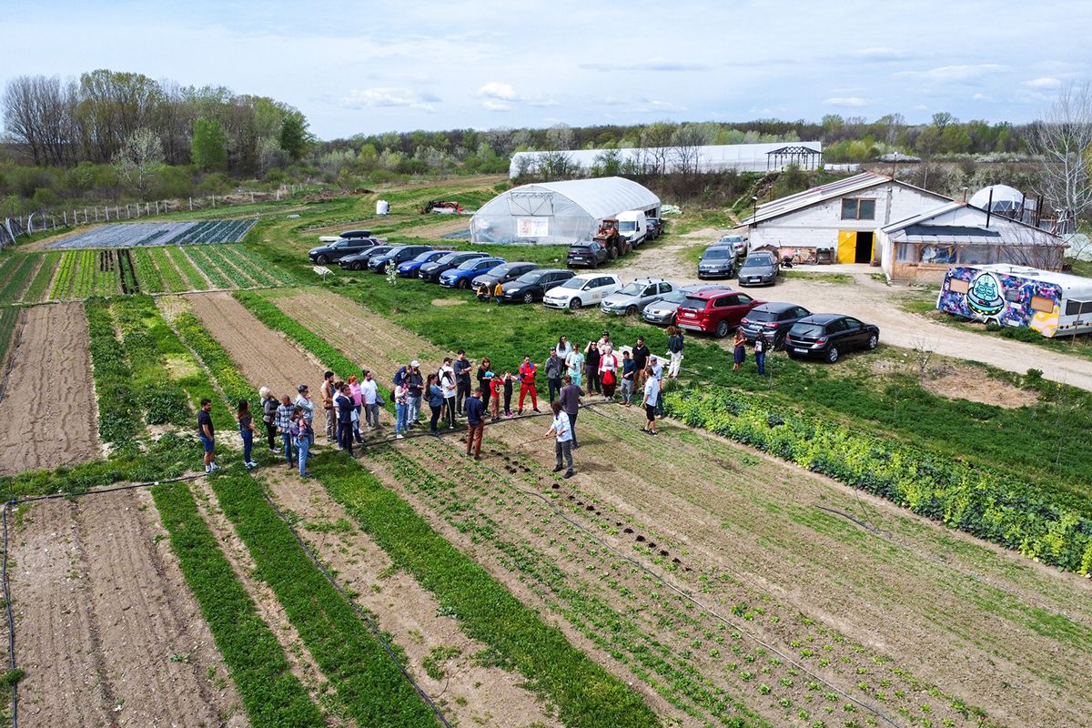 Cum va arăta mâncarea viitorului: „Abia aștept să folosim inteligența artificială în agricultură!” + Diferența dintre legumele obișnuite și cele bio