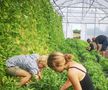 Cum va arăta mâncarea viitorului: „Abia aștept să folosim inteligența artificială în agricultură!” + Diferența dintre legumele obișnuite și cele bio