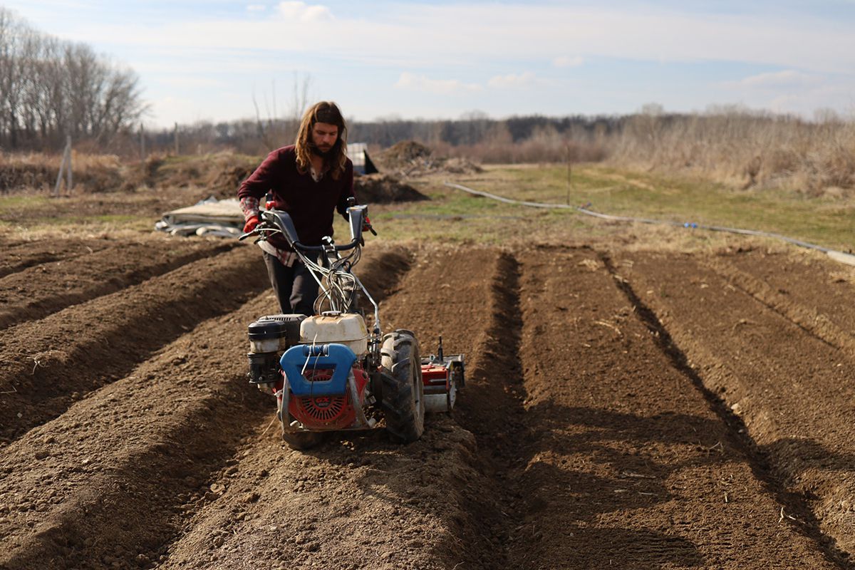 Cum va arăta mâncarea viitorului: „Abia aștept să folosim inteligența artificială în agricultură!” + Diferența dintre legumele obișnuite și cele bio