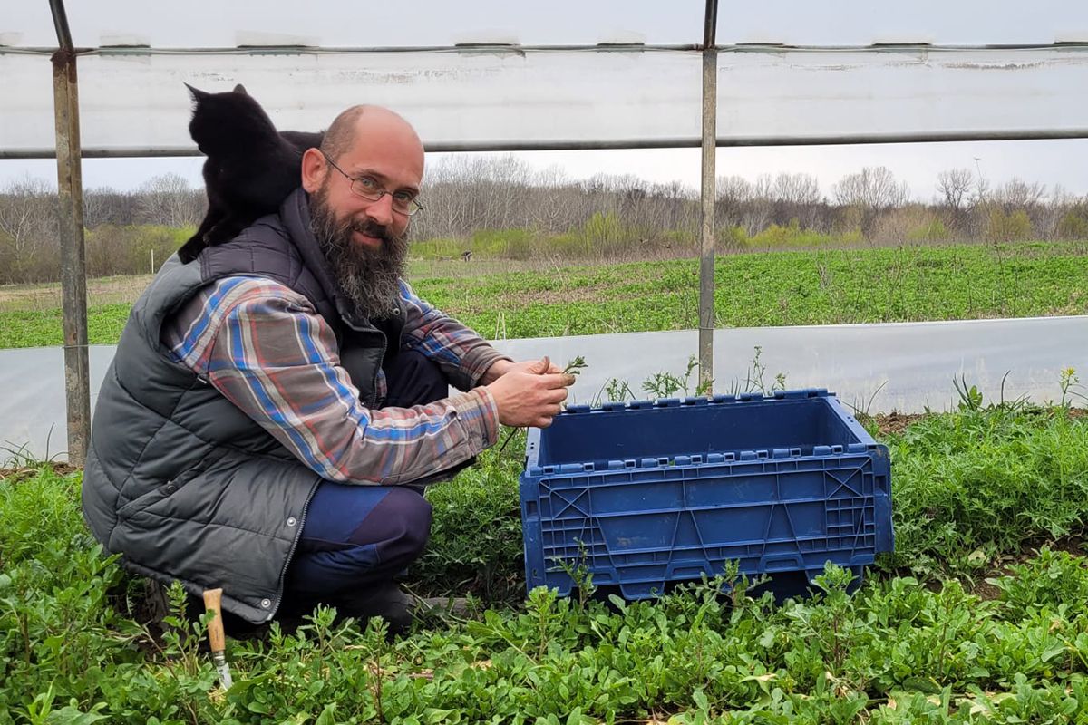 Cum va arăta mâncarea viitorului: „Abia aștept să folosim inteligența artificială în agricultură!” + Diferența dintre legumele obișnuite și cele bio