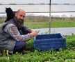 Cum va arăta mâncarea viitorului: „Abia aștept să folosim inteligența artificială în agricultură!” + Diferența dintre legumele obișnuite și cele bio